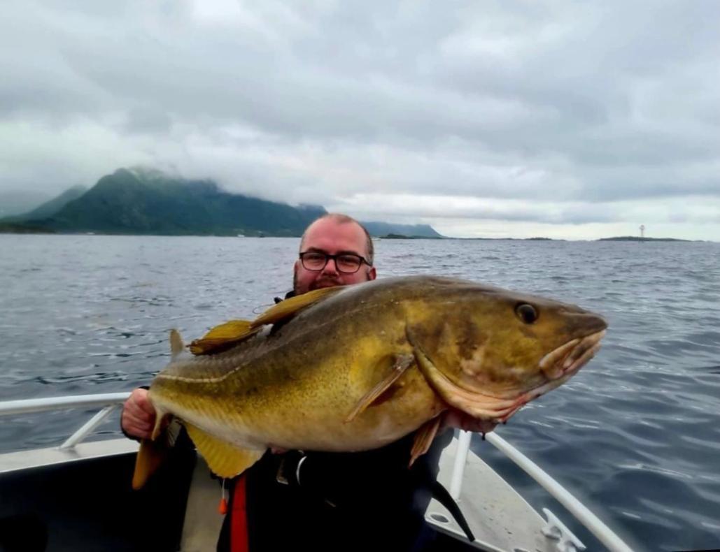 Lofoten And Vesteralen Kveldro Myrland 外观 照片
