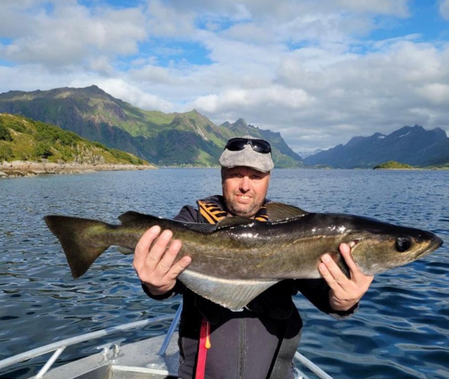 Lofoten And Vesteralen Kveldro Myrland 外观 照片