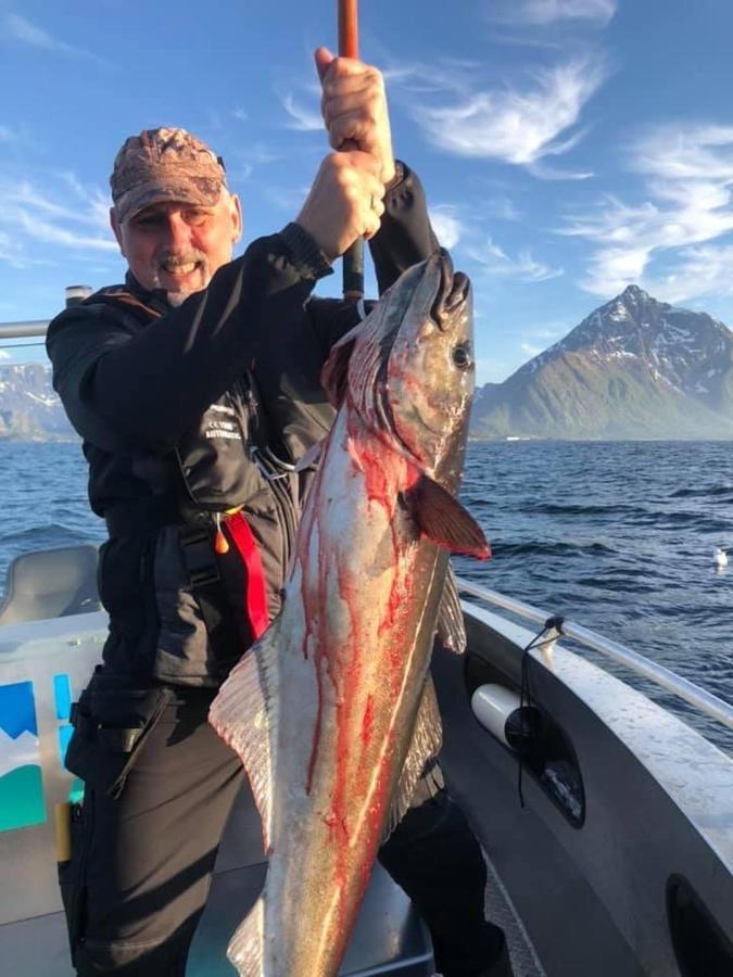 Lofoten And Vesteralen Kveldro Myrland 外观 照片