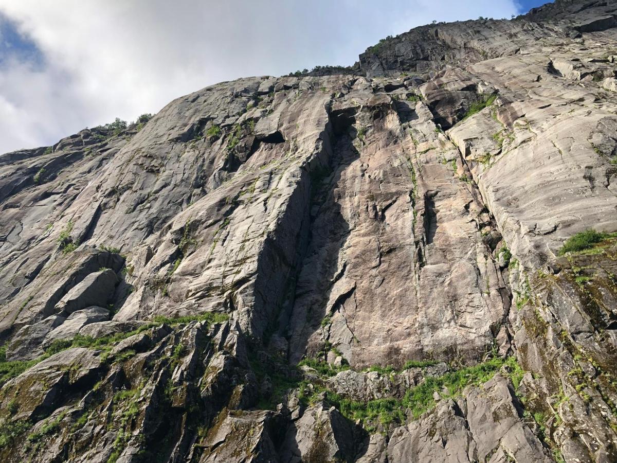Lofoten And Vesteralen Kveldro Myrland 外观 照片