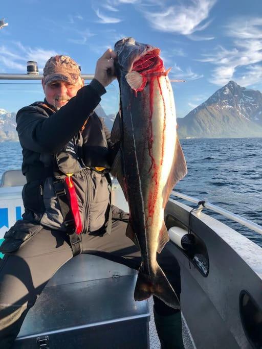 Lofoten And Vesteralen Kveldro Myrland 外观 照片