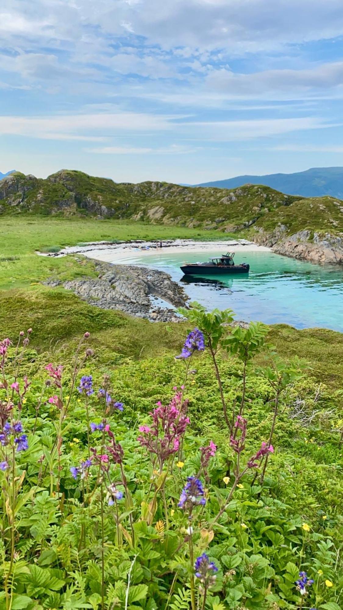 Lofoten And Vesteralen Kveldro Myrland 外观 照片