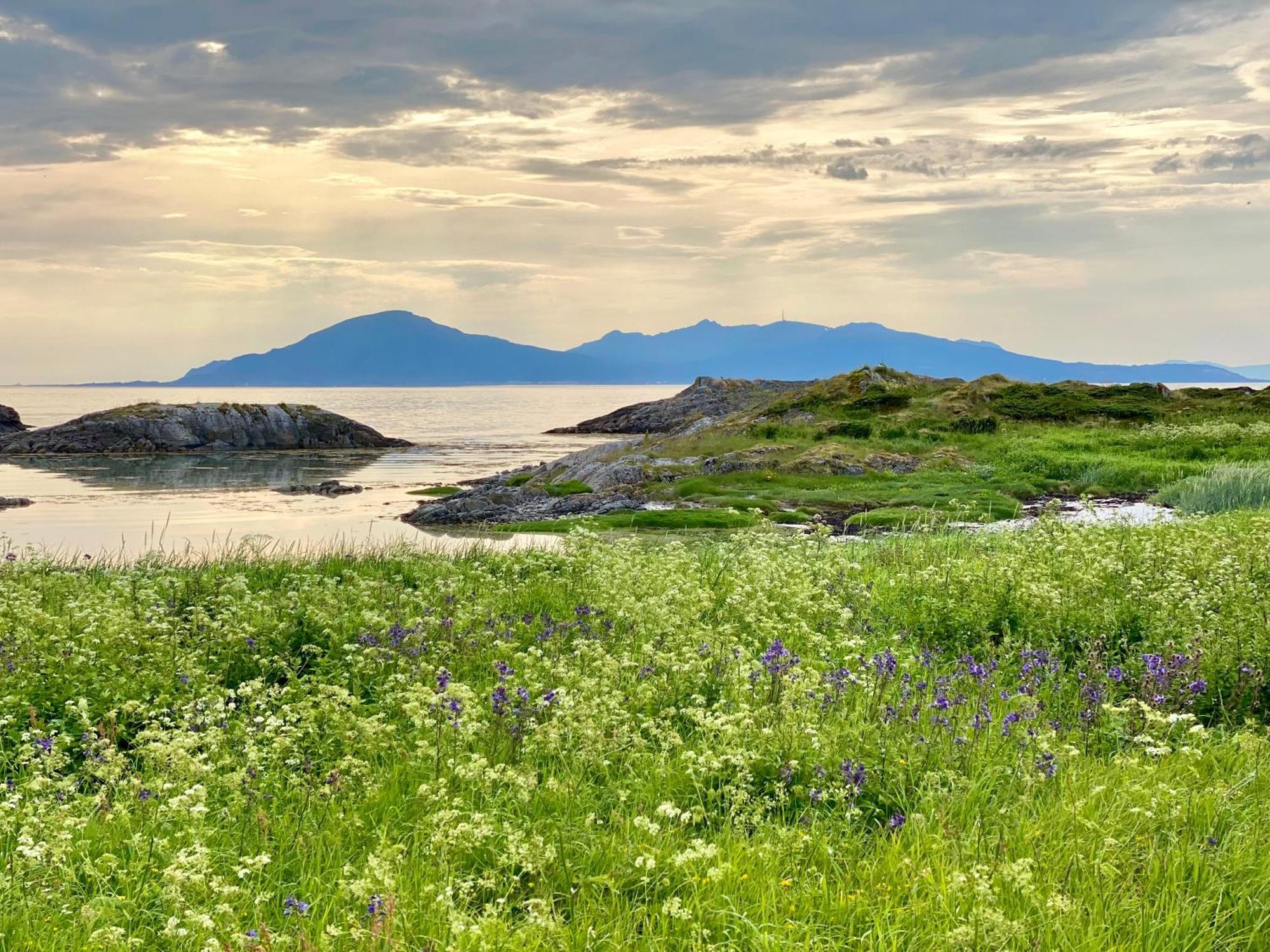 Lofoten And Vesteralen Kveldro Myrland 外观 照片